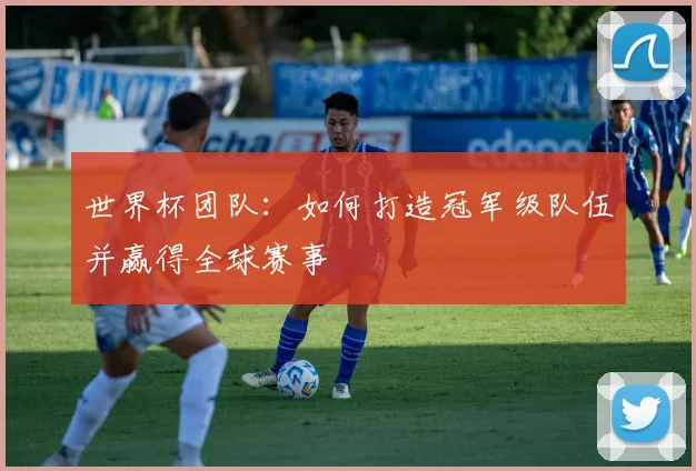 世界杯团队：如何打造冠军级队伍并赢得全球赛事