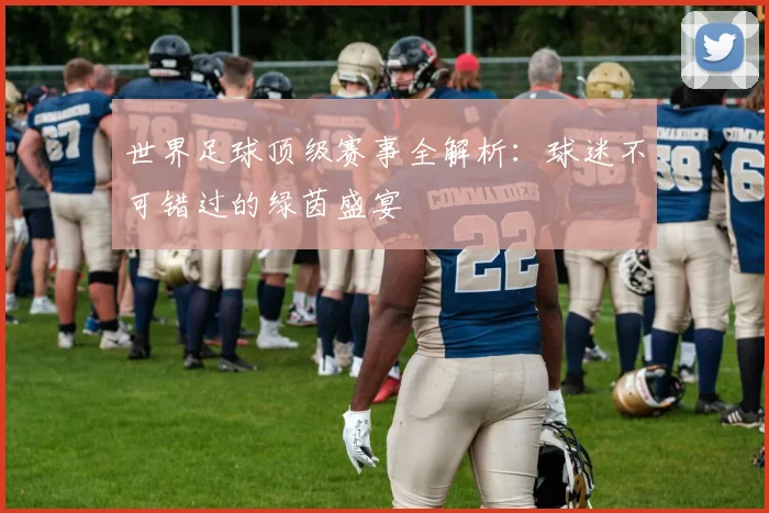 世界足球顶级赛事全解析:球迷不可错过的绿茵盛宴